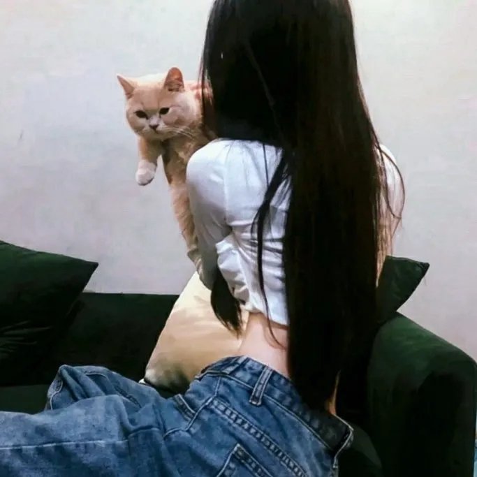 猫狗大战3:爪爪集结!